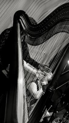 Harpe symfoni.jpg